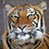 Profile Picture of carl Nord (@Carl Nord) on Flickr
