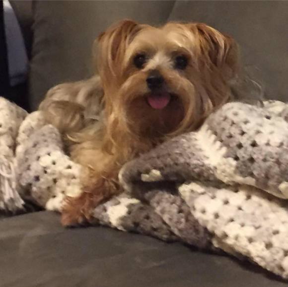 Profile Picture of Lisa Fluhr (@lafluhr) on Poshmark