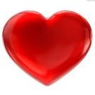 Profile Picture of Lisa Williams Oyerly (@lisaoyerly) on Pinterest