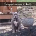 Profile Picture of Bob Beckwith (@beckwithbob) on Instagram