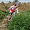 Profile Picture of Kalia Xiong (@@kaliaxiong00) on Tiktok