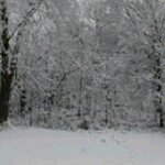 Profile Picture of Carol Hess (@carolinwv) on Instagram