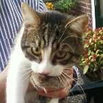 Profile Picture of Michel van Nieuwenhuizen (@michelandre1960) on Instagram