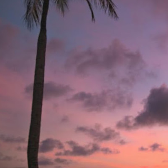 Keziah Smallhorne - Poshmark Profile Picture of Keziah Smallhorne (@zkz633) on Poshmark