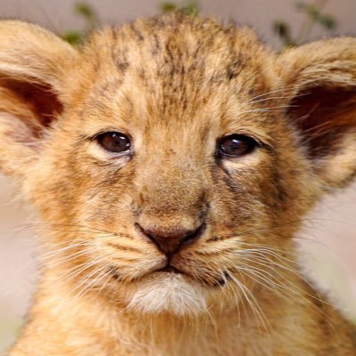 Profile Picture of James Ocker (@JamesOcker) on Twitter