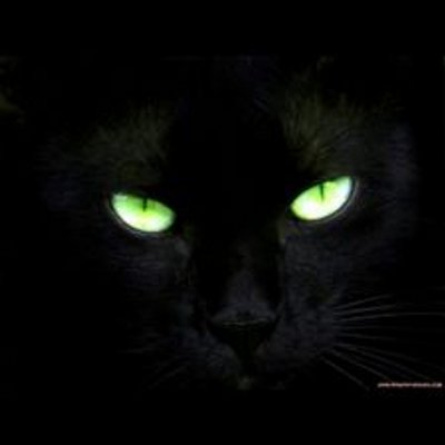 Profile Picture of Marcelo Gil (@marcelogil4450) on Twitter