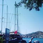 Profile Picture of Selen Özel (@selenoxell) on Instagram