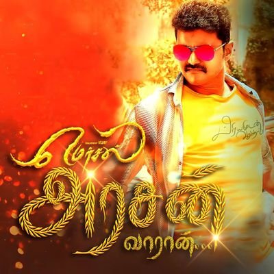 Profile Picture of Christopher #Mersal (@cris_1387) on Twitter