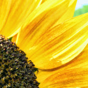 Profile Picture of Nikki Ramirez (@nikkiramirez1055) on Youtube