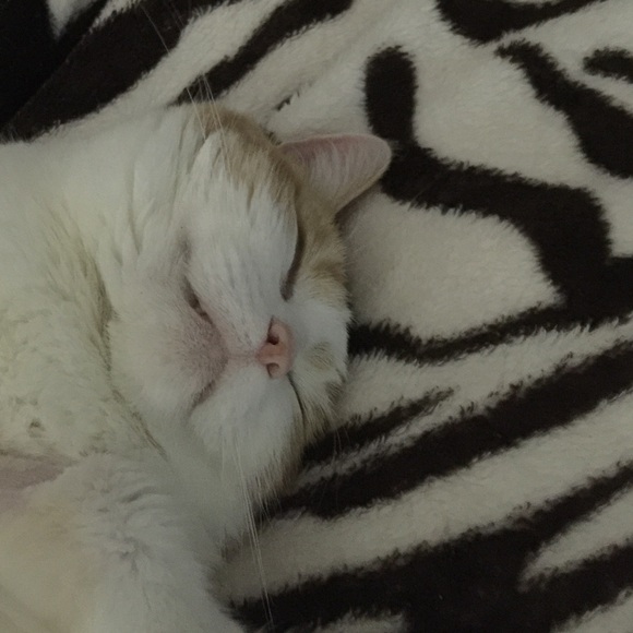 Profile Picture of Linn Nunnelley (@lnunnelley) on Poshmark