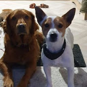 Profile Picture of Andrew Hossack (@mrt0018) on Youtube