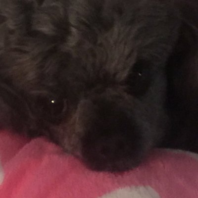 Profile Picture of Mary B Gunter (@@GunnieA) on Twitter