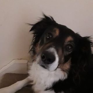 Steven Birney - Facebook Profile Picture of Steven Birney (@steven.birney.773) on Facebook