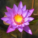 Profile Picture of Gabriela & Wilma (@us_andtheworld) on Instagram