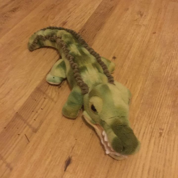 Profile Picture of russell.panter (@russell.panter) on Tiktok