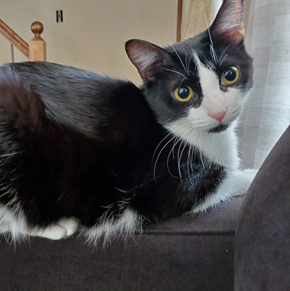 Alyssa Bilter - Poshmark Profile Picture of Alyssa Bilter (@alyssabilter) on Poshmark