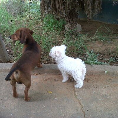 Profile Picture of Burnett Clark (@@clarkburnett88) on Twitter