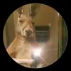 Profile Picture of Gregory☆》 (@gregoryff16) on Tiktok