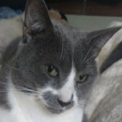 Profile Picture of Maria (@MazAnneMoore) on Twitter