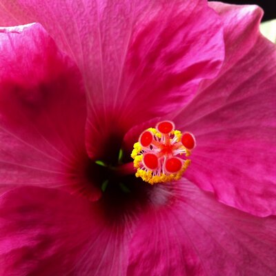 Profile Picture of Bloem 070 🌈🇳🇱🚜🇮🇱 En Ben Blank!! (@Maarten1955) on Twitter