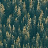 Profile Picture of burleighlarence (@burleighlarence) on Tiktok