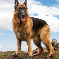 Profile Picture of Jason Fye (@jason-fye-2) on Quora