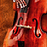 Profile Picture of Michael Terranova (@mterranova55) on Flickr