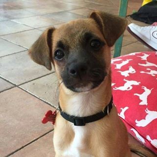 Profile Picture of Gian Piero Brignone (@gian.p.brignone) on Facebook