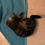 Daniela Seifert - Instagram Profile Picture of Daniela Seifert (@dannii_eye) on Instagram