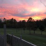 Profile Picture of Pauline Rottman (@paulinerottman) on Instagram