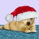 Profile Picture of Sarah Fritsche (@fritsche_sarah) on Twitter