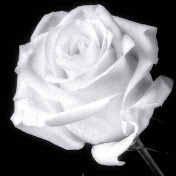 Profile Picture of Crystal Escobar (@crystalescobar3432) on Youtube