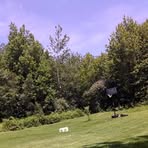 Profile Picture of Francis Nault (@francis.nault.5) on Facebook