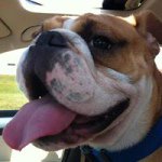 Profile Picture of Cory Hayes (@c___hayes) on Instagram