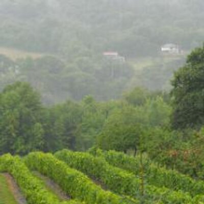 Profile Picture of Stephen Crowley (@Stcrow) on Twitter