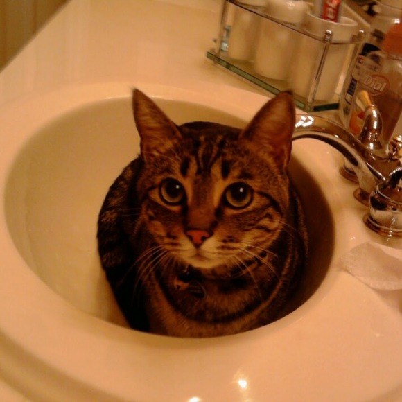 Profile Picture of Connie Barron (@beetu2015) on Poshmark