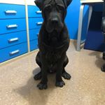 AARON LOZANO - Instagram Profile Picture of AARON LOZANO (@aaron_lome) on Instagram