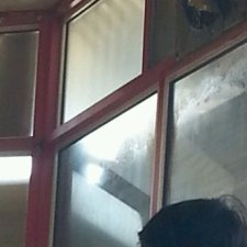 Profile Picture of سالم ال مشعان .. (@vikkikennedy272) on Twitter