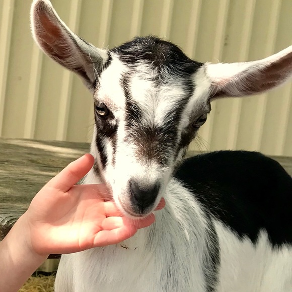 Profile Picture of Heather Mckay (@hstewart23899) on Poshmark