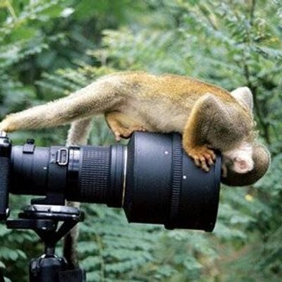 Profile Picture of William Cain (@billyboy160) on Twitter