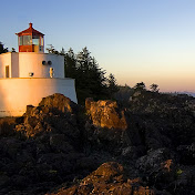 Lashonda Moore - Youtube Profile Picture of Lashonda Moore (@lashondamoore3246) on Youtube