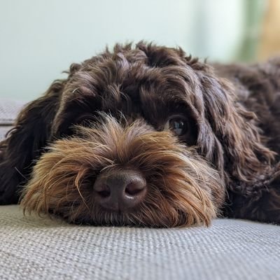 Profile Picture of James Bridgman (@bridgman_james) on Twitter