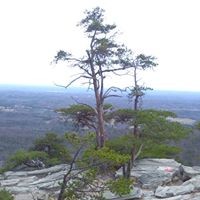 Profile Picture of Jeff Crowder (@jeff-crowder-9) on Quora