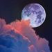 Profile Picture of Etania Palawat (@epalawat) on Pinterest