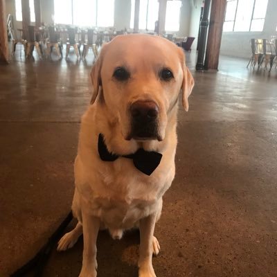 Dave Tilden - Twitter Profile Picture of Dave Tilden (@tilden_dave) on Twitter