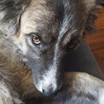Profile Picture of ralph fitcher (@ralphfitcher) on Instagram
