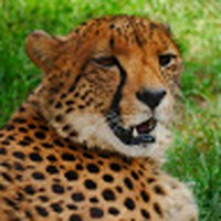 Profile Picture of Brian Harker (@brian-harker-4) on Quora
