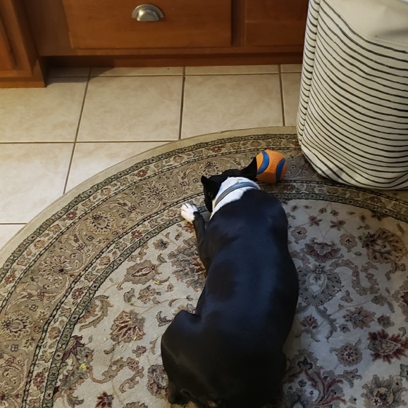 Profile Picture of Chris Pappajohn (@chrispappajohn) on Poshmark