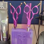 Alice li - Instagram Profile Picture of Alice li (@petproductandpetgrooming) on Instagram