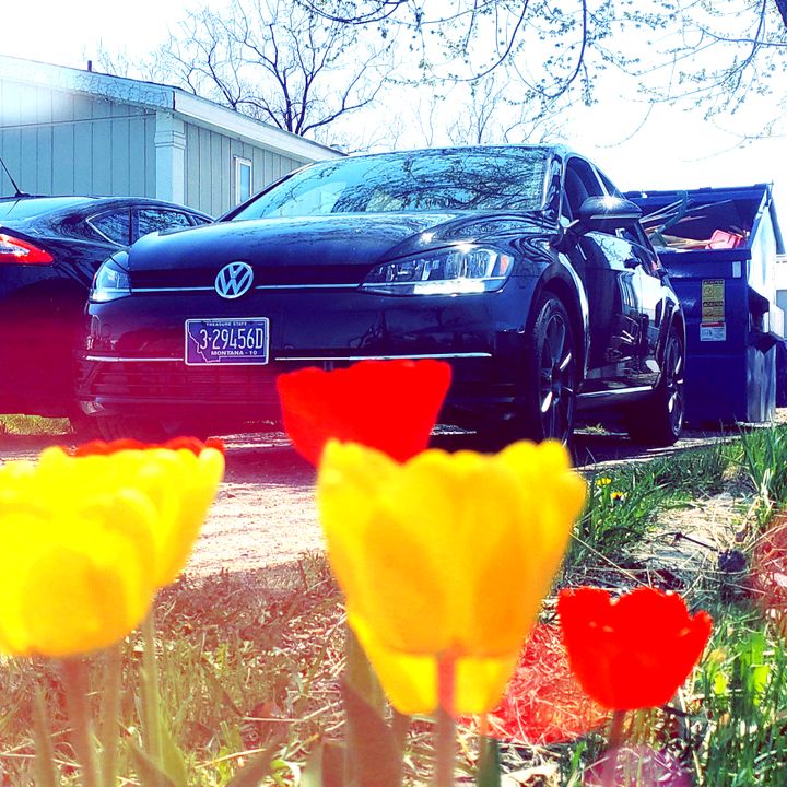 Profile Picture of jonathangergen (@@not_a_gti) on Tiktok